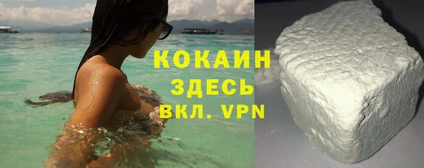гидра Абаза