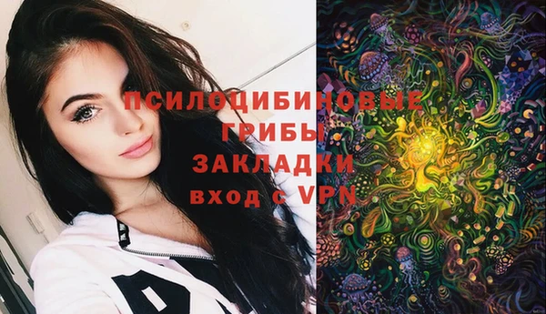 амф Абинск