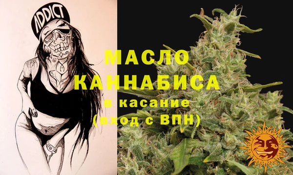 гидра Абаза