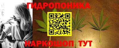 эйфоретик Аша